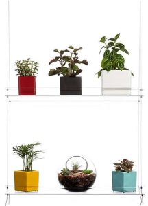 winterize succulent shelf