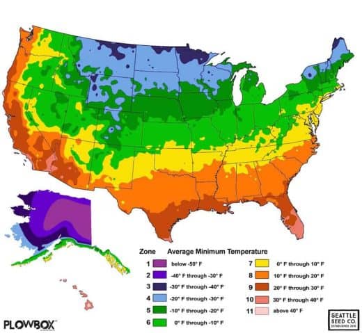 Hardiness Zones and Succulents - Sublime Succulents