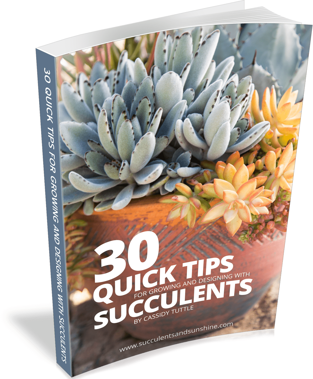 30 quick tips succulents book cover.